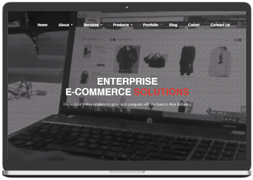 Enterprize ecommerce solutions