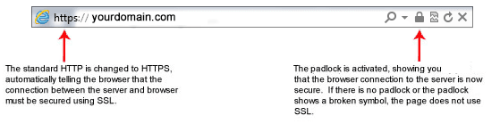 ssl certificate dv