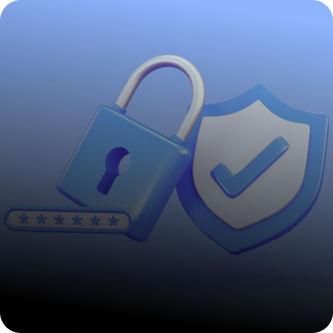 Core & Module Updates with Security Patching