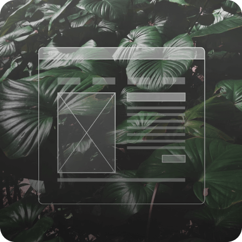 Magento Development Services Banner Image